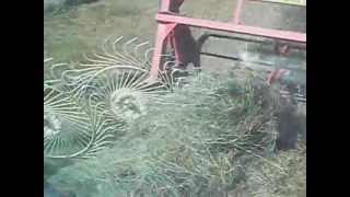 Tedder raking hay with HampS hay machine II amp case 2290 tractor [upl. by Gromme]