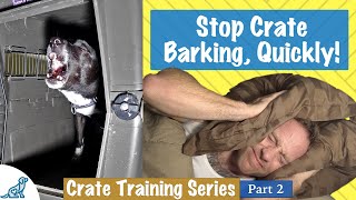 How To Stop Your Dog From Barking In Their Crate At Night [upl. by Shriver]