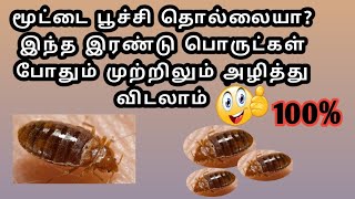 மூட்டை பூச்சியை முற்றிலும் அழிப்பது எப்படிHow To Kill BedbugsPart2Tamil Twins Sathu Vithu [upl. by Hallie]