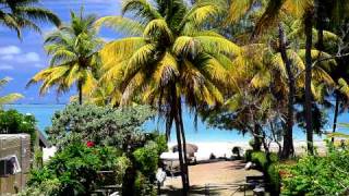 Mauritius Guesthouse  Noix de Coco  Rooms for rent  Pointe d´Esny Beach [upl. by Archibold]