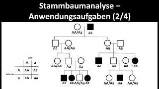 Stammbaumanalyse  Anwendungsaufgaben 24  Biologie Oberstufe [upl. by Eudora200]