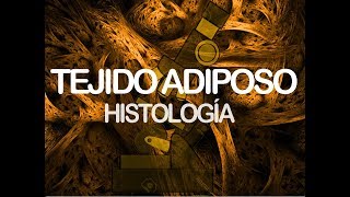 Tejido adiposo  Histología [upl. by Teerpnam344]