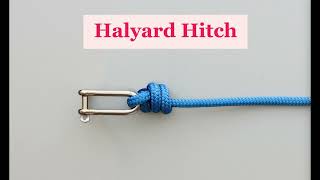 Learn the Halyard Hitch commonly used on boats for attaching the halyard to the top of a sail [upl. by Ching821]