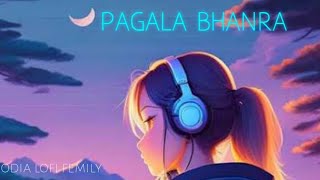 PAGALA BHANRAHUMAN SAGOR ROMANTICSONG SLOWED AND REVERB [upl. by Judah]