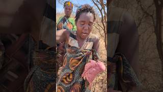 Bushmen hadzabe womens prepare foods for families [upl. by Ned982]