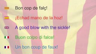 Catalonias Anthem [upl. by Cindelyn]