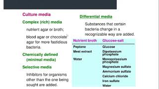 Lecture 5 Microbial Physiology and Genetics recorded class [upl. by Tamaru87]