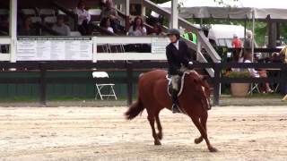 Tori Colvin and Way Cool Upperville Score of 100 [upl. by Konstantine]