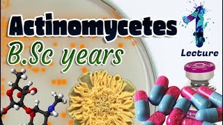 Actinomycetes  Characteristics  Importances  Identification BSc 3st year 🧫💊🔬 [upl. by Jeannie]