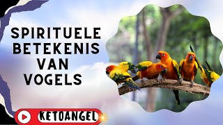 De Spirituele Betekenis van Vogels Symboliek en Diepere Betekenissen in het Leven [upl. by Brandtr415]