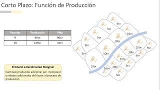 MICROECONOMÍA I  Teoría del Productor a Corto Plazo Rendimientos Marginales Decrecientes [upl. by Aetnahc68]