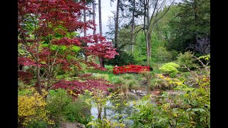 An aerial view of Gatton Parks Japanese Garden Reigate [upl. by Mohandas]