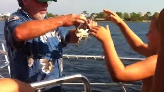 Boy gets pinched by crab on boat  funny [upl. by Eidarb]