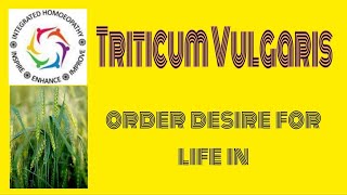 Triticum Vulgaris  new age grass remedy [upl. by Fink223]