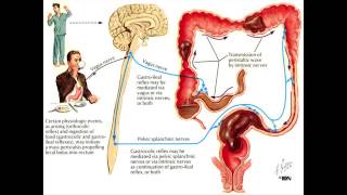 Constipation and the Colon  Mayo Clinic [upl. by Ahker]