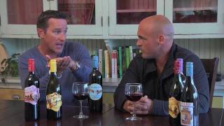 Organic Wine Vs SulfiteFree Wine [upl. by Flavio]