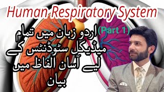 Anatomy and Physiology of Respiratory system in Urdu  step by step guide about respiratory system [upl. by Mihalco]