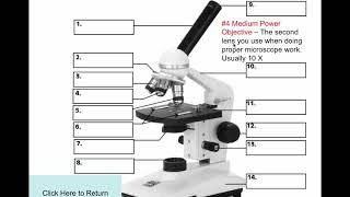 Simple Microscope Definition Parts Functions [upl. by Weaks39]