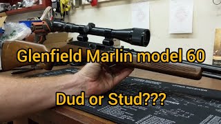 Glenfield Model 60 from dud to stud [upl. by Yeleak]