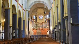 Klaas Jan Mulder  O grote Christus eeuwig Licht  Dirco Oskam orgel St Servaasbasiliek Maastricht [upl. by Lateh]