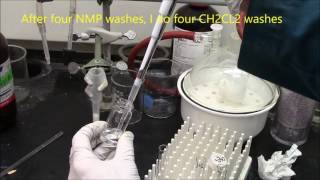 Solid Phase Peptide Synthesis Hands On Procedures from swelling resin to HPLC amp MS analysis [upl. by Nosned]