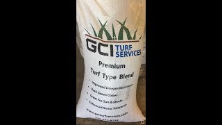 Turf Type Tall Fescue Grass Seed Weed Free [upl. by Nnylasor]