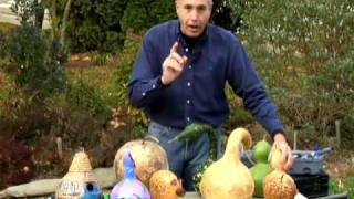 Drying Gourds [upl. by Ronnie]