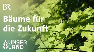 Bäume für die Zukunft  Unser Land  BR Fernsehen [upl. by Waynant]