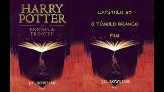 HARRY POTTER E O ENIGMA DO PRÍNCIPE  CAP 30 O TÚMULO BRANCO FIM  JK ROWLING AUDIOBOOK [upl. by Idna]