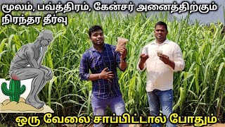 POWTHIRAM வேரோடு சரியாக pails problem solution at home tamil  hemorrhoids symptoms  TAMIL VLOGGER [upl. by Varney]