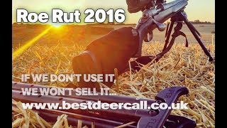 Calling Roe with the Buttolo Blatter from Best Deer Call [upl. by Ehr132]