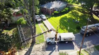 Altec Remote Controlled Tree Removal Grapple saw Demo [upl. by Atoked]