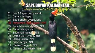 Sape Dayak Kalimantan [upl. by Ardiedal830]