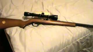 Marlin Model 60 Review Budget friendly perfection [upl. by Mollee]