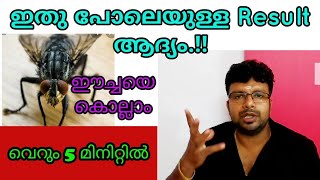 How to Kill Houseflyവെറും 5 മിനിറ്റിൽ ഈച്ചയെ കൊല്ലാം 100 Live Resultവീട്ടിലുംഫാമിലുംuse ചെയ്യാം [upl. by Finny]