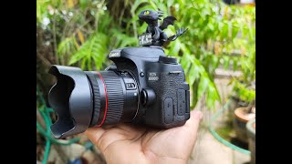 review canon 8000D760D lens 18 55 stm new vs 18 55 stm old [upl. by Nanette751]