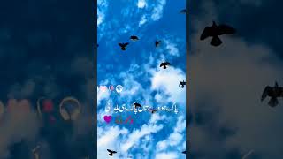 Dil agr saaf ho  poetry  Islamic shorts short viral [upl. by Letreece]