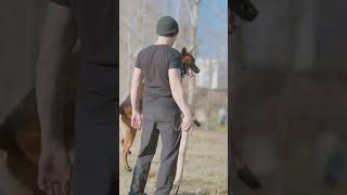 2Month German Shepherd Training Easy Tricks to Teach Your Dog [upl. by Orteip]