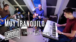 Gramatik  Muy Tranquilo full band cover [upl. by Ecirp]