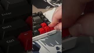 Akko Psittacus Keycaps Unboxing [upl. by Ever133]