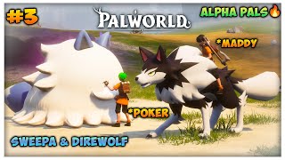 We Found Alpha Pals 🔥 PALWORLD Episode3 Palworld pokerface maddytelugugamer [upl. by Nilrem]