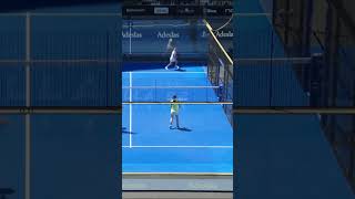 How to FINISH an AMAZING POINT 🔥🔥 Padel Highlights bestofpadel [upl. by Shifrah]