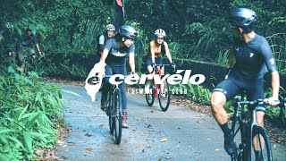 【Cervelo】Caledonia5 與Aspero 騎乘感  Cervelo車主告訴你  直闖台灣桶後林道  Gravel Bike [upl. by Ros]