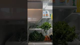 Let’s restock my fridge 🥬🥕🌶️🫐🥦🍓 [upl. by Saire360]