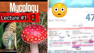 Basic mycology 🛑 LECTURE 1 Chap 47 Difference between fungi and bacteria hyphaeyt Lab diagnosis [upl. by Can585]