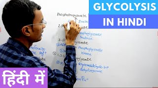 Glycolysis in Hindi [upl. by Adnuahsor]