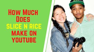 How Much Does Slice N Rice Make On YouTubeSlice N Rice Net Worth [upl. by Ittocs350]