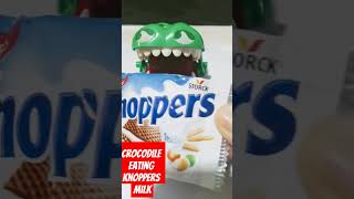 crocodile eating knoppers ASMR satisfying viral youtubeshorts trending shorts shortvideo [upl. by Kwan]