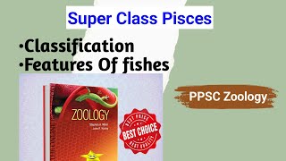 Fishes  Classification Of Pisces  Invertebrates And Chordates  PPSC  BS Zoology  Semester No 03 [upl. by Rekyr865]