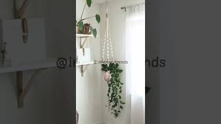 Plant Hanger designs shorts planthanger viral [upl. by Enaols]